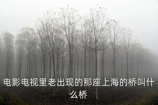 電影電視里老出現的那座上海的橋叫什么橋