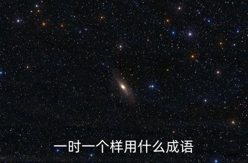 一時一個樣用什么成語