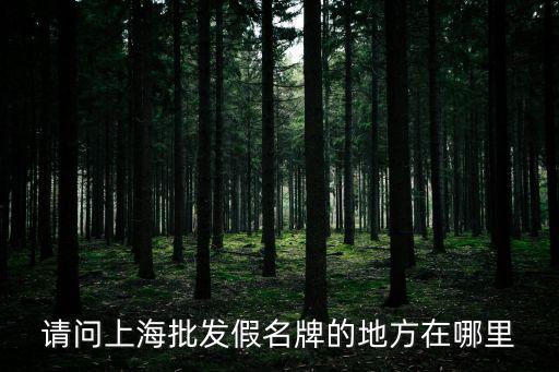 請問上海批發假名牌的地方在哪里