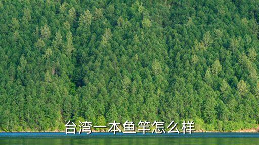 臺灣魚竿，臺灣魚先生的魚竿怎么樣請知道的大師們說說