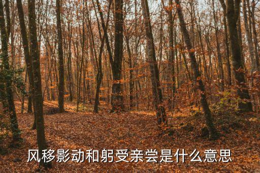風移影動和躬受親嘗是什么意思