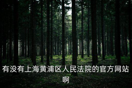 有沒有上海黃浦區人民法院的官方網站啊