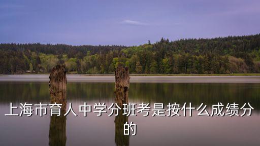 上海市育人中學分班考是按什么成績分的