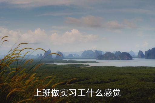 上班做實習工什么感覺