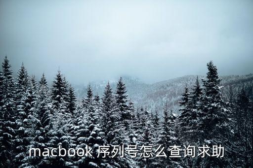 mac序列號查詢，mac 怎么查序列號