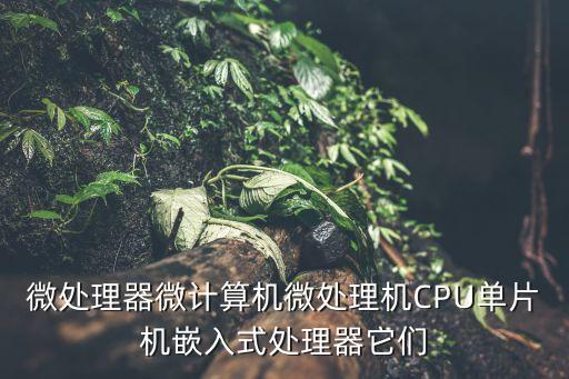 微處理器微計(jì)算機(jī)微處理機(jī)CPU單片機(jī)嵌入式處理器它們
