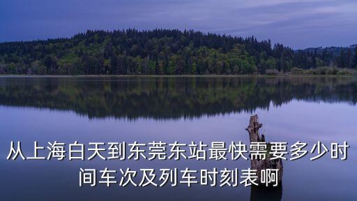從上海白天到東莞東站最快需要多少時(shí)間車次及列車時(shí)刻表啊
