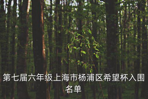 第七屆六年級上海市楊浦區希望杯入圍名單
