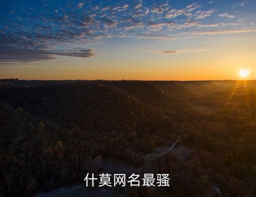 比較騷氣的網名，求比較風騷的網名