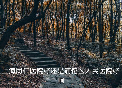 上海同仁醫院好還是浦佗區人民醫院好啊