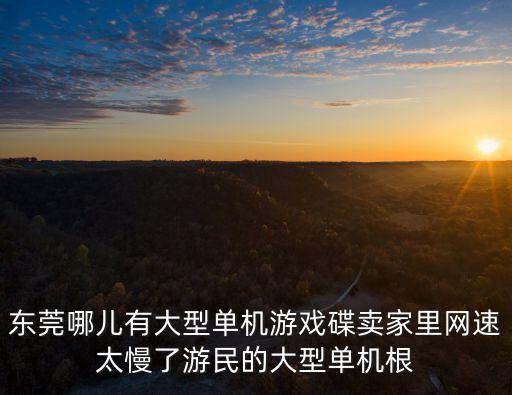 東莞哪兒有大型單機游戲碟賣家里網速太慢了游民的大型單機根