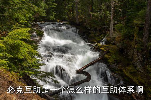 必克互助是一個怎么樣的互助體系啊