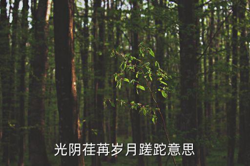 光陰荏苒歲月蹉跎意思