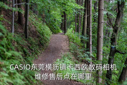 CASIO東莞橫瀝鎮卡西歐數碼相機維修售后點在哪里