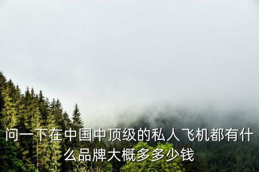 問一下在中國中頂級的私人飛機都有什么品牌大概多多少錢