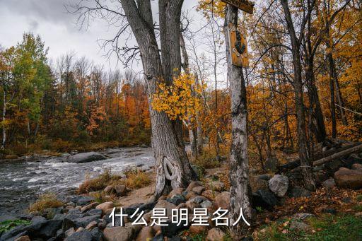 名人明星，什么是明星名人