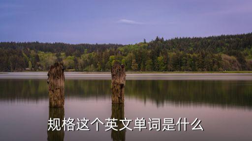 規格英文，規格這個英文單詞是什么