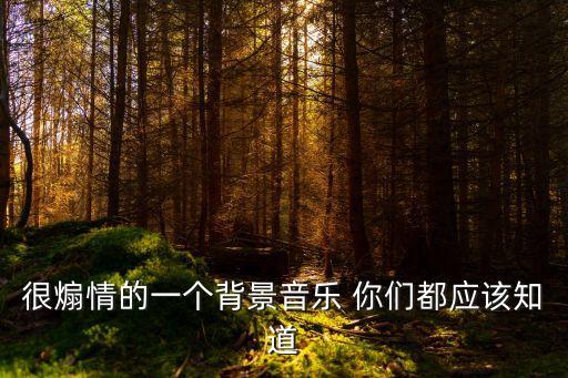 很煽情的一個背景音樂 你們都應該知道