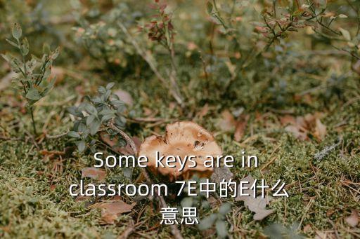 Some keys are in classroom 7E中的E什么意思