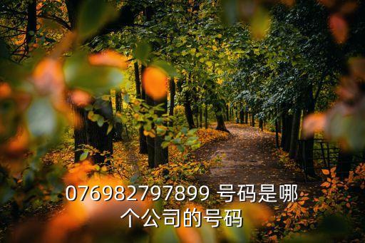076982797899 號碼是哪個公司的號碼