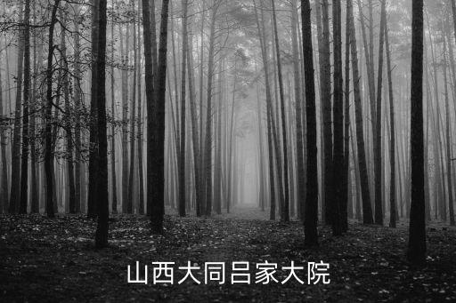 呂家大院，濟寧有呂家大院嗎