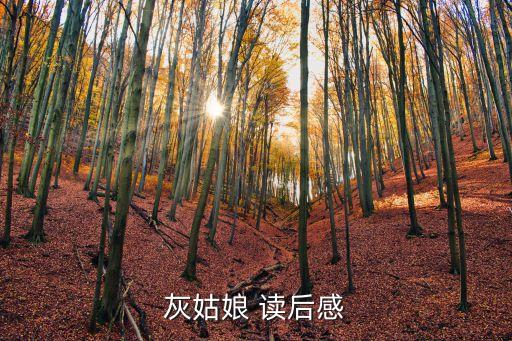 灰姑娘 讀后感