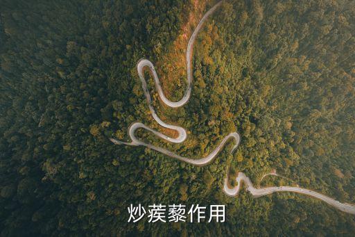 炒蒺藜的功效與作用，野蒺藜的功效作用是什么