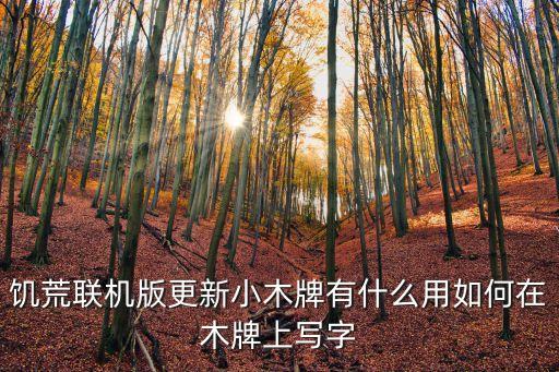 饑荒聯機版更新小木牌有什么用如何在木牌上寫字
