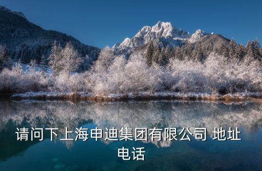 請問下上海申迪集團有限公司 地址 電話