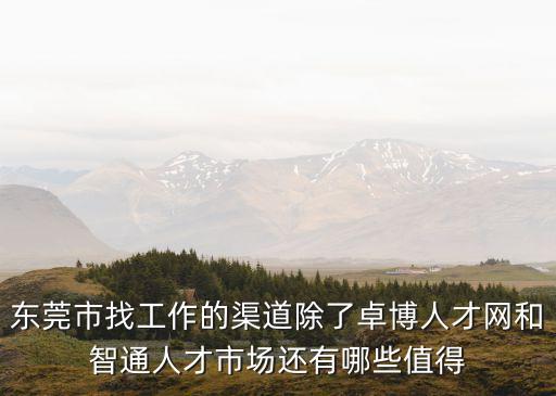 東莞市找工作的渠道除了卓博人才網(wǎng)和智通人才市場還有哪些值得