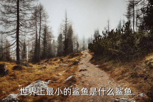 世界上最小的鯊魚是什么鯊魚