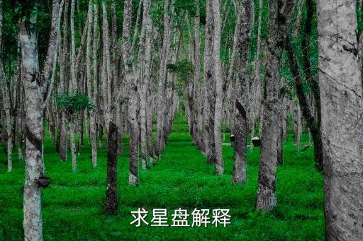 求星盤解釋