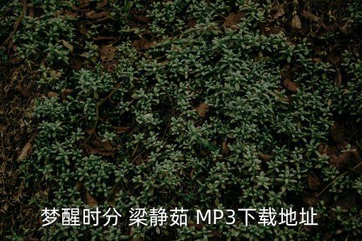夢醒時分 梁靜茹 MP3下載地址