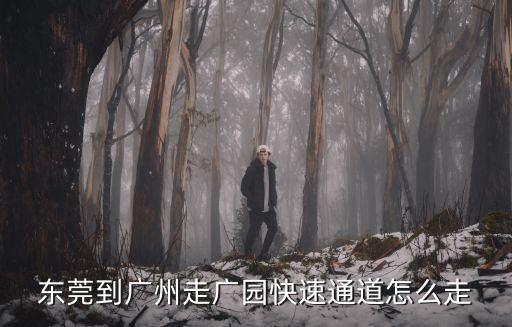 東莞到廣州走廣園快速通道怎么走