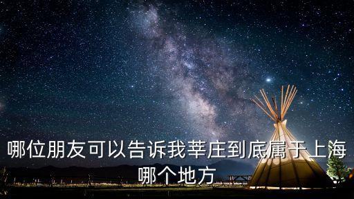 哪位朋友可以告訴我莘莊到底屬于上海哪個地方