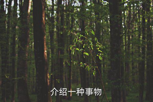 介紹一種事物