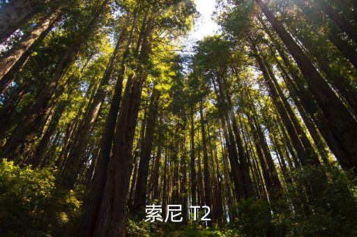 索尼 T2