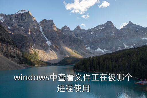 windows中查看文件正在被哪個進程使用