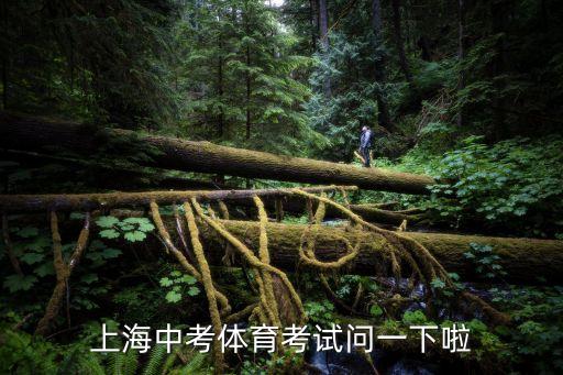 上海中考體育考試問一下啦