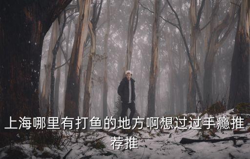 上海哪里有打魚的地方啊想過過手癮推薦推