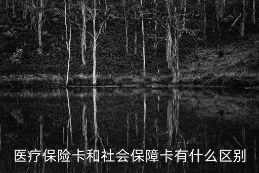 醫療保險卡和社會保障卡有什么區別