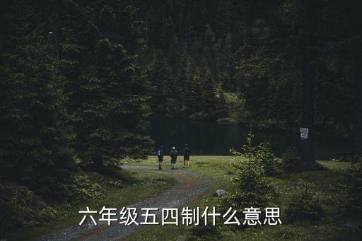 六年級五四制什么意思
