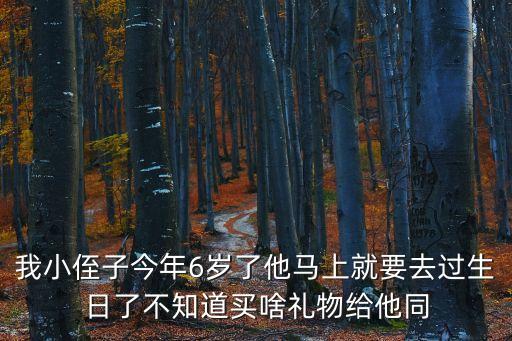 小侄子，小侄子生日祝福語