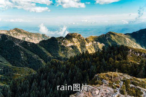 rain圖片