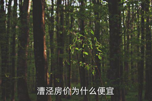漕涇房價為什么便宜