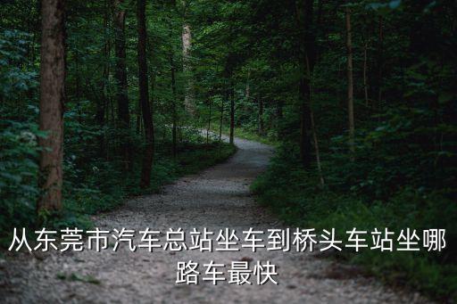 東莞總站有車到橋頭嗎，東莞總站到橋頭是幾路車