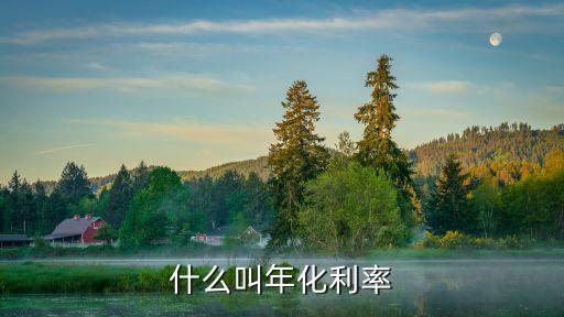 什么叫年化利率