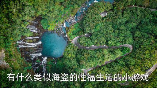 有什么類似海盜的性福生活的小游戲
