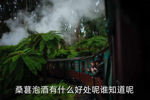 桑葚泡酒有什么好處呢誰知道呢