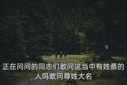 正在問問的同志們敢問這當中有姓蔡的人嗎敢問尊姓大名